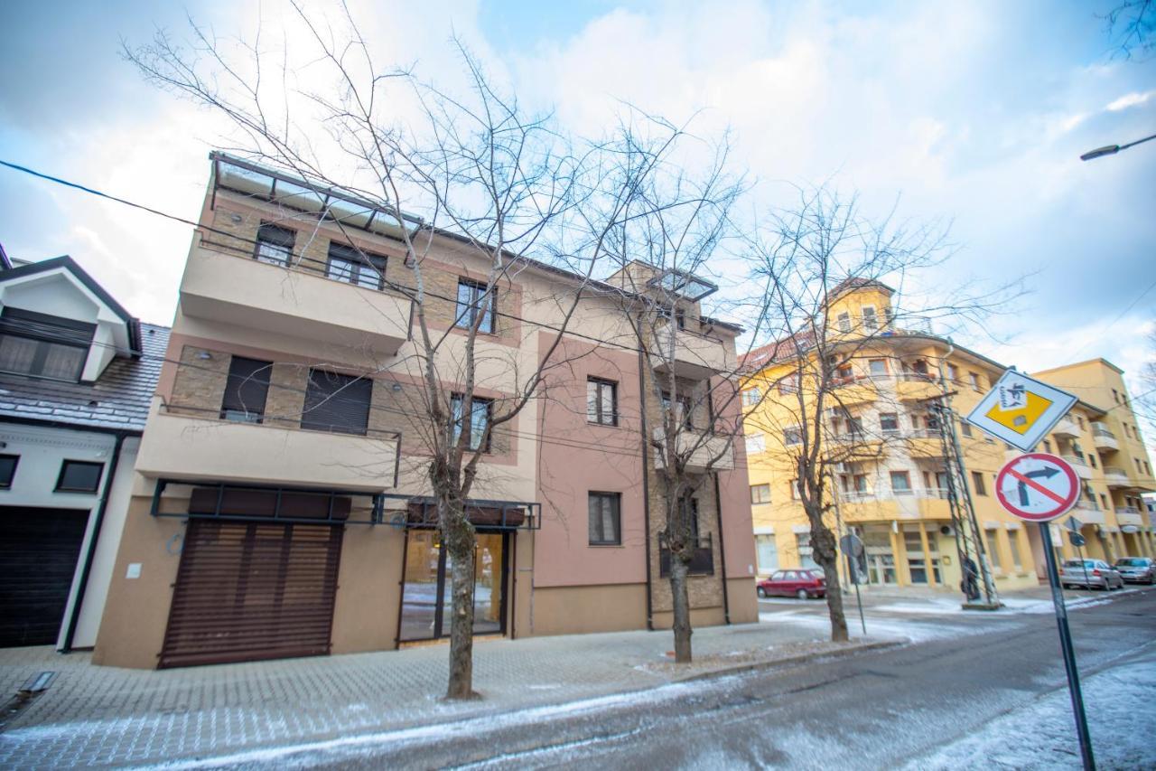 As Apartman 2 Vrsac Esterno foto