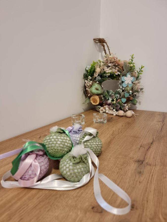 As Apartman 2 Vrsac Esterno foto