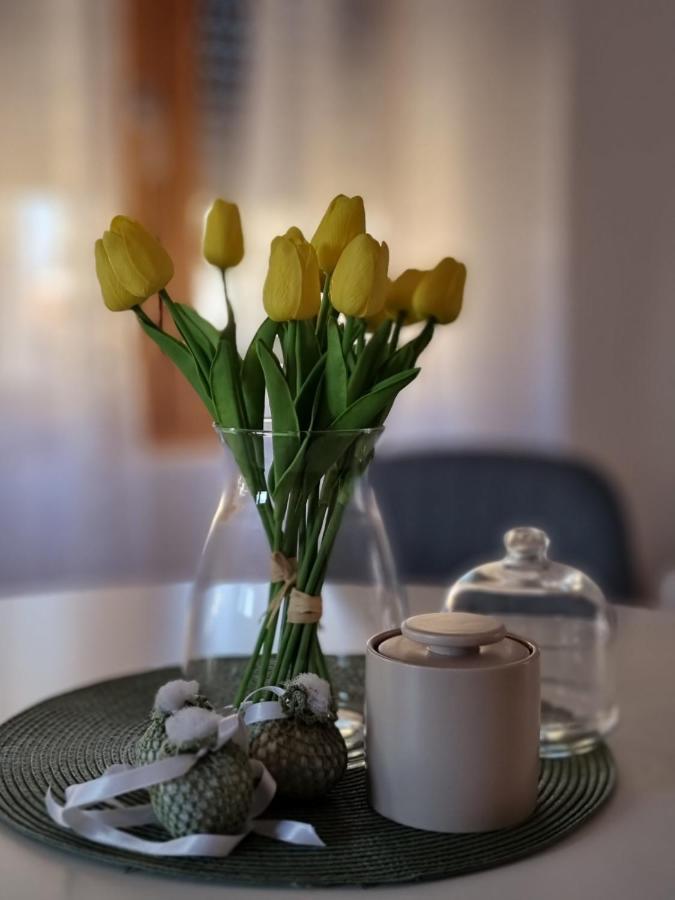 As Apartman 2 Vrsac Esterno foto